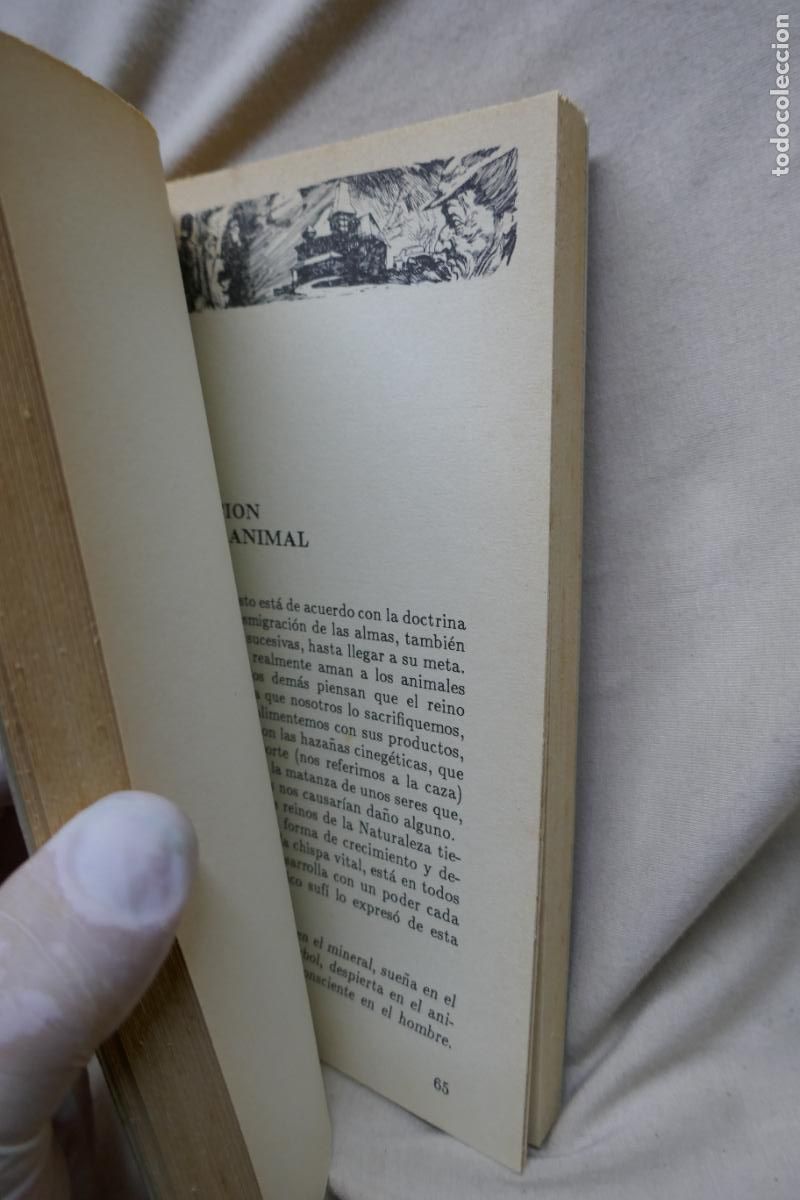 Libros de segunda mano: EL ESOTERISMO - HANS KROFER - IBERLIBRO - Foto 7