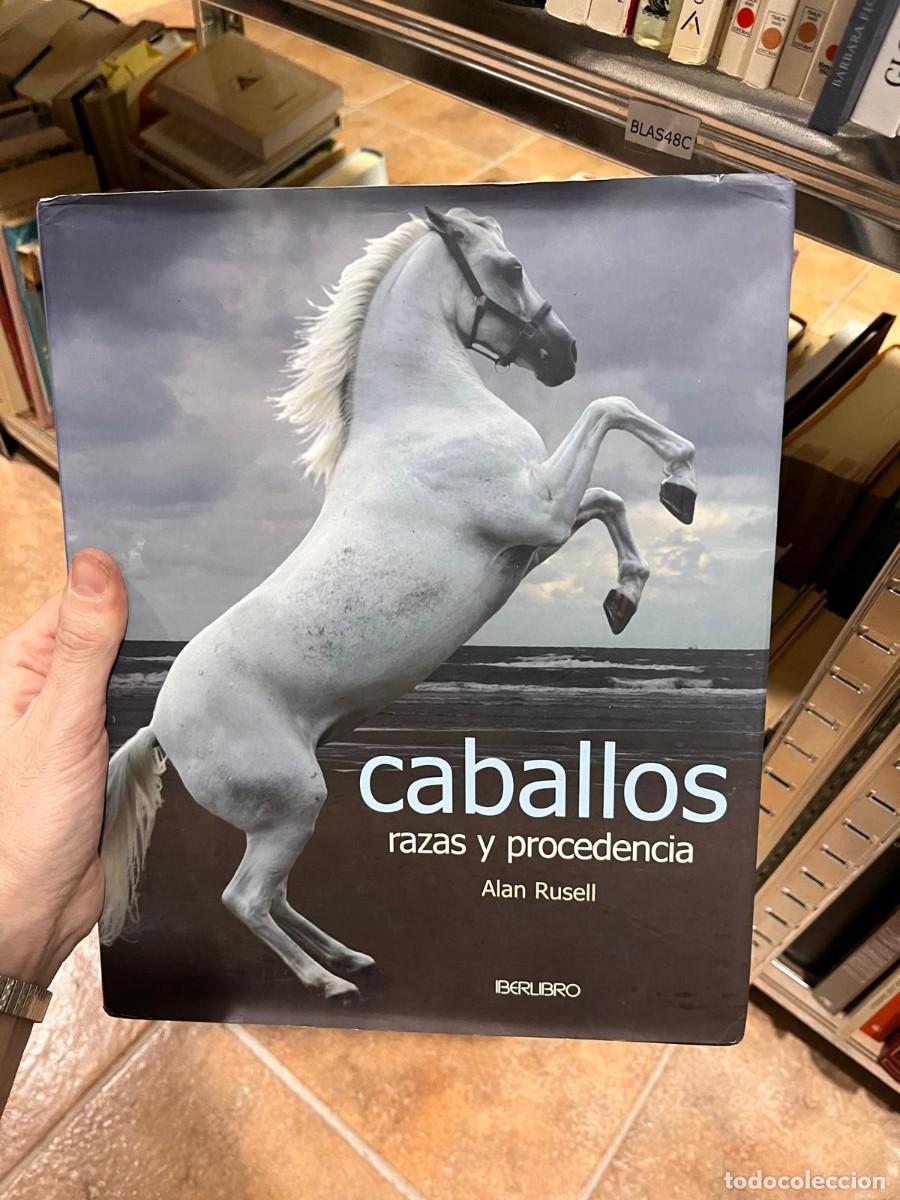 Libros de segunda mano: BLAS48C CABALLOS, RAZAS Y PROCEDENCIA, ALAN RUSELL - Foto 1