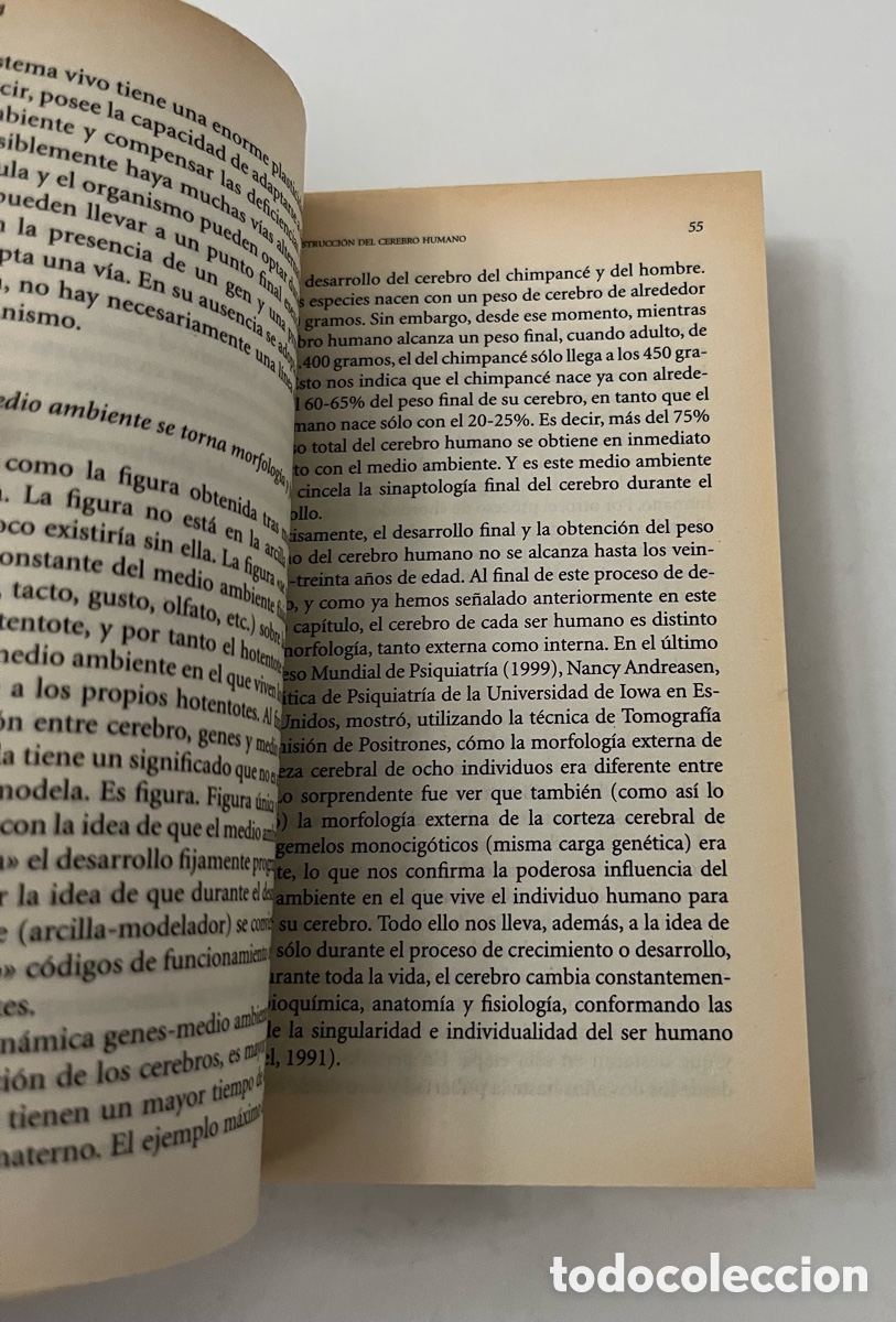 Libros de segunda mano: Libro El reloj de la sabidur&iacute;a: Tiempos y espacio en el cerebro - Foto 5