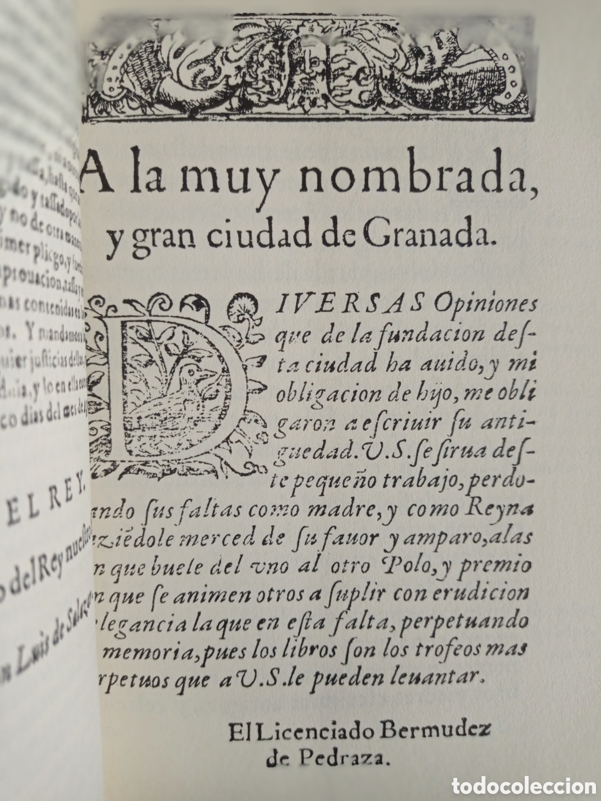 Libros de segunda mano: ANTIG&Uuml;EDAD Y EXCELENCIAS DE GRANADA. FRANCISCO BERM&Uacute;DEZ DE PEDRAZA. FACS&Iacute;MIL. - Foto 3