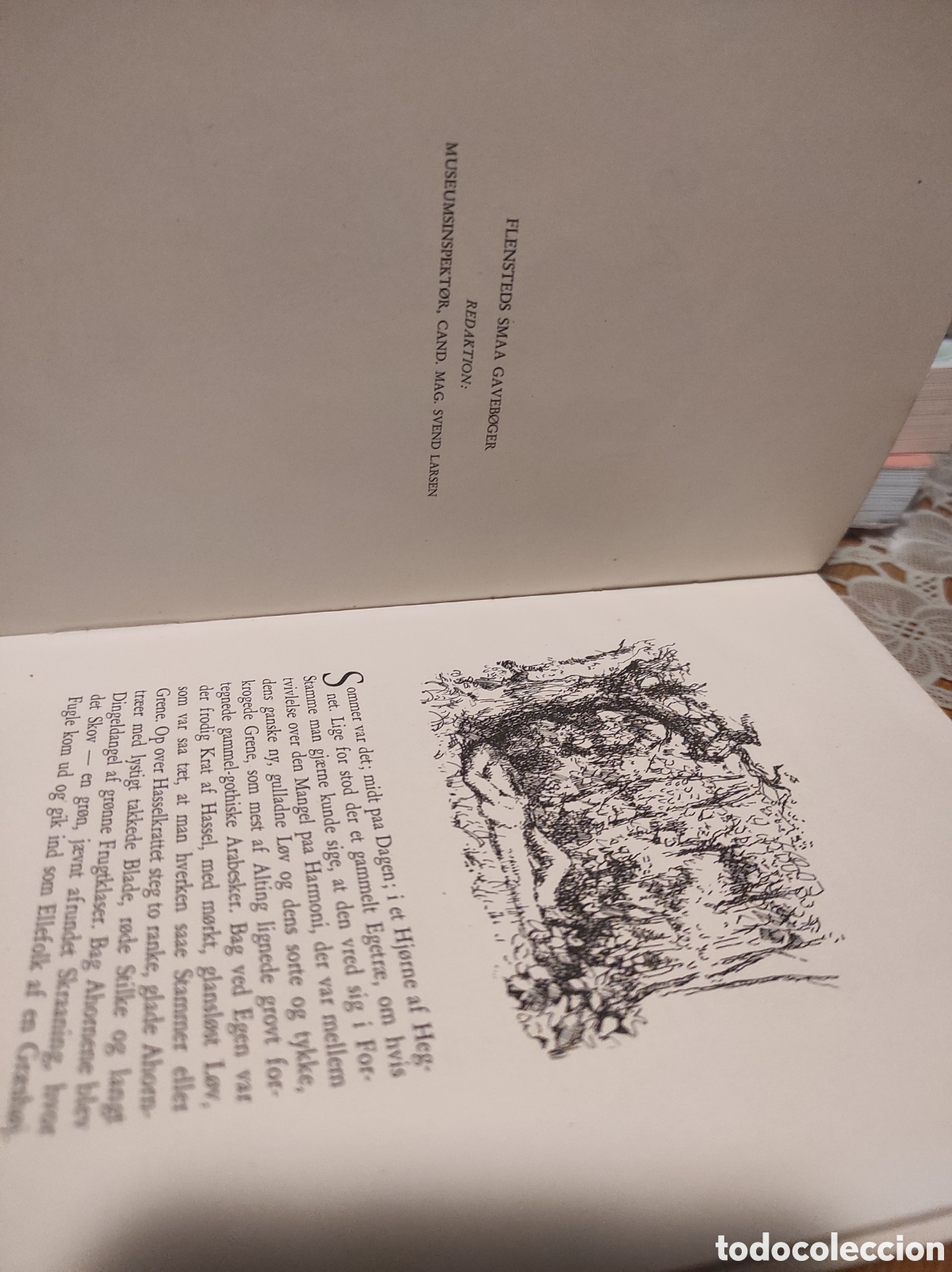 Libros de segunda mano: Jacobsen, Jens Peter - Mogens 1945 - Foto 4