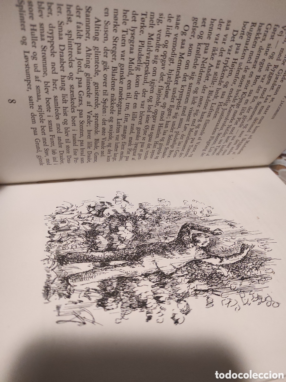 Libros de segunda mano: Jacobsen, Jens Peter - Mogens 1945 - Foto 5