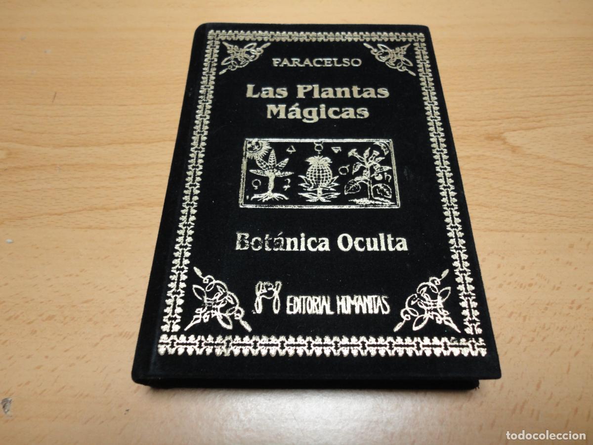 Libros de segunda mano: Las plantas m&aacute;gicas (Paracelso) - F6 - Foto 1