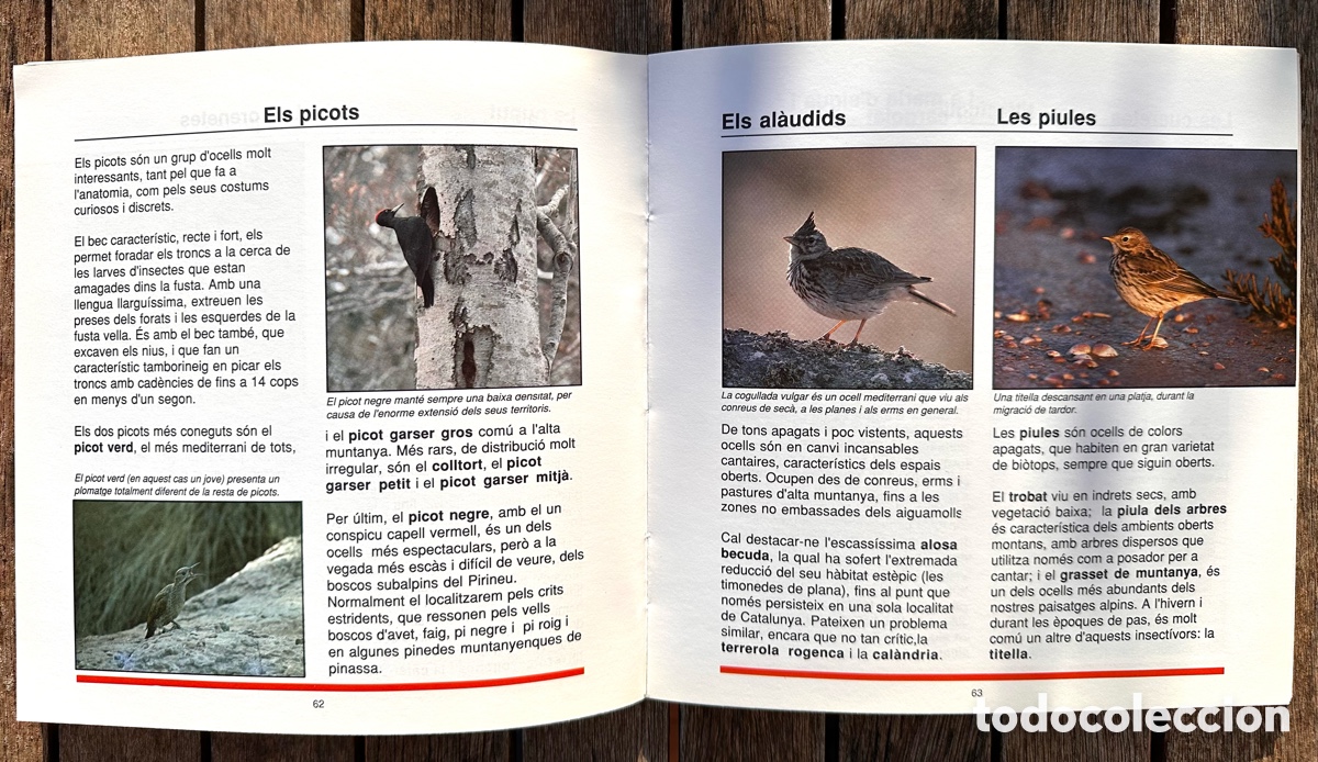 Libros de segunda mano: ESPECIES PROTEGIDES Generalitat de Catalunya - Foto 2