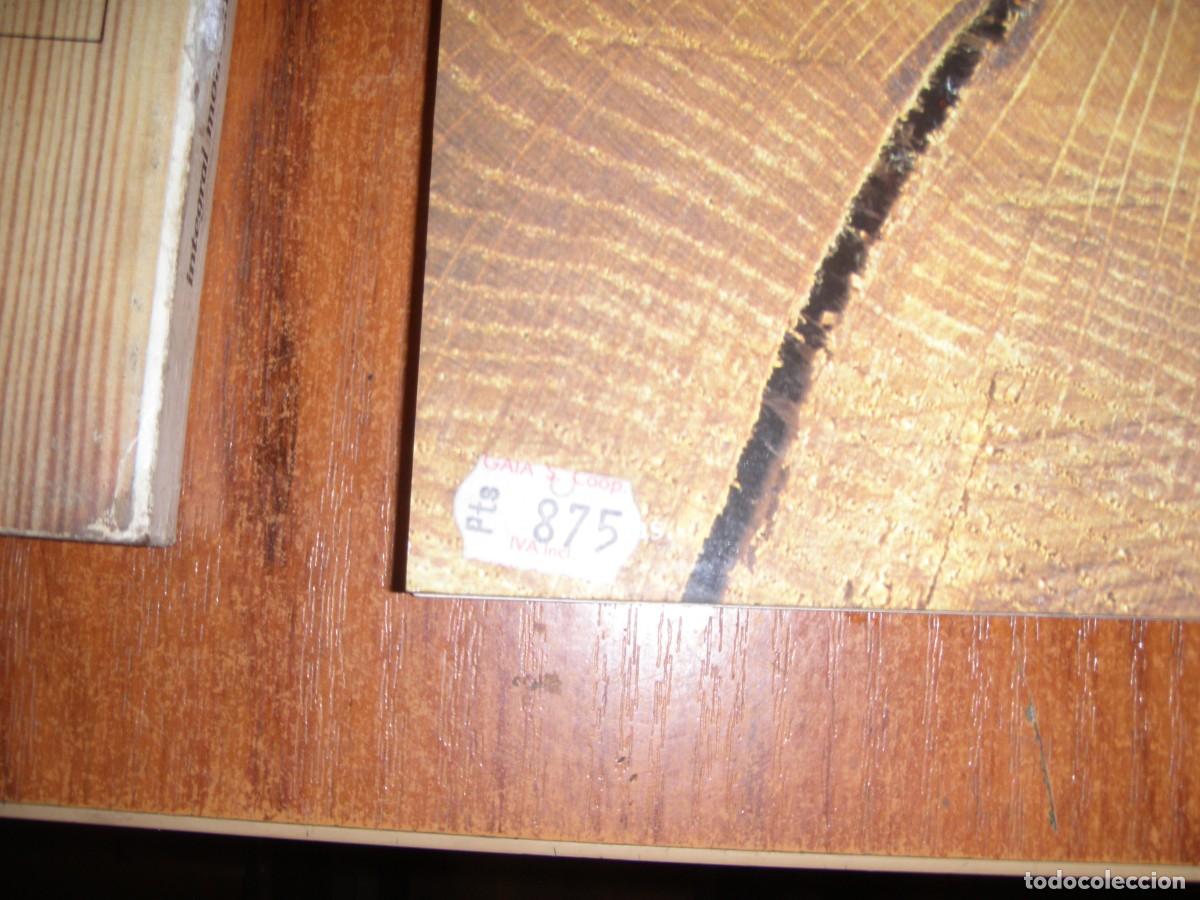 Libros de segunda mano: DOS LIBROS EL HOMBRE Y LA MADERA RAROS - Foto 6