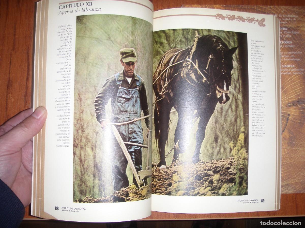 Libros de segunda mano: DOS LIBROS EL HOMBRE Y LA MADERA RAROS - Foto 8