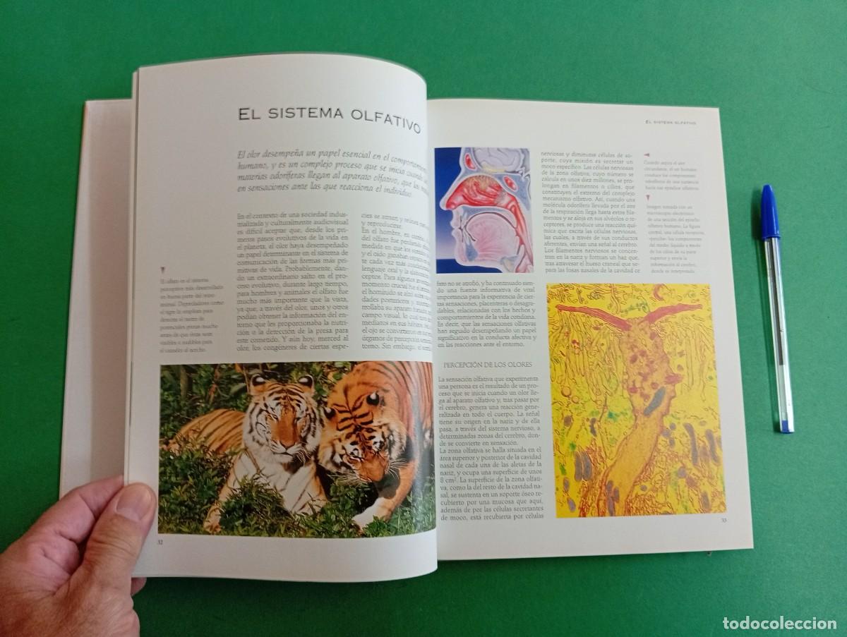 Libros de segunda mano: Antiguo libro Larousse del Perfume. Barcelona 2000. Perfumer&iacute;a. - Foto 6