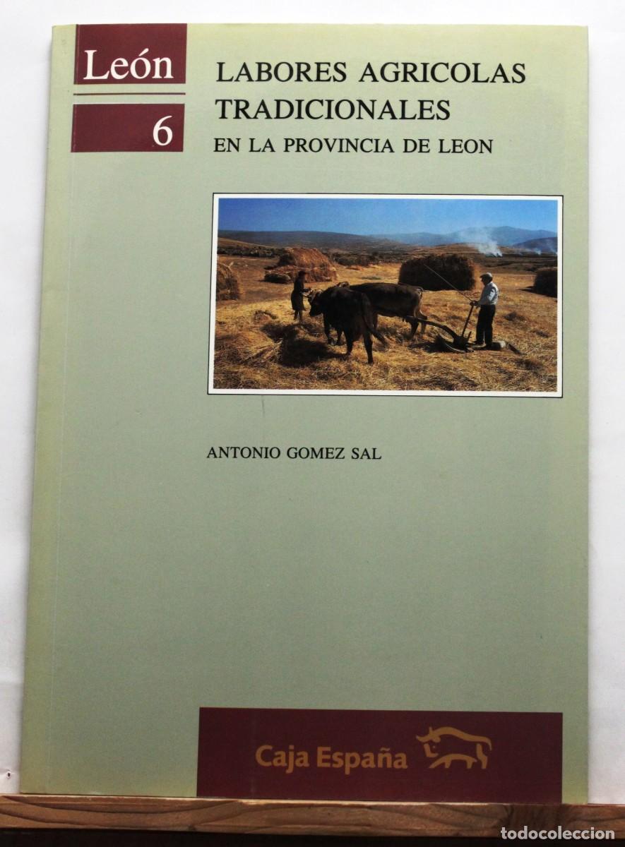 Libros de segunda mano: LABORES AGRICOLAS TRADICIONALES EN LA PROVINCIA DE LE&Oacute;N. R&iacute;os Cultivos Huertas Pastoreo Tradiciones