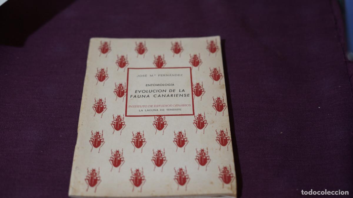 Gebrauchte B&uuml;cher: Jos&eacute; Maria Fern&aacute;ndez - Entomolog&iacute;a - Evoluci&oacute;n de la fauna canariense