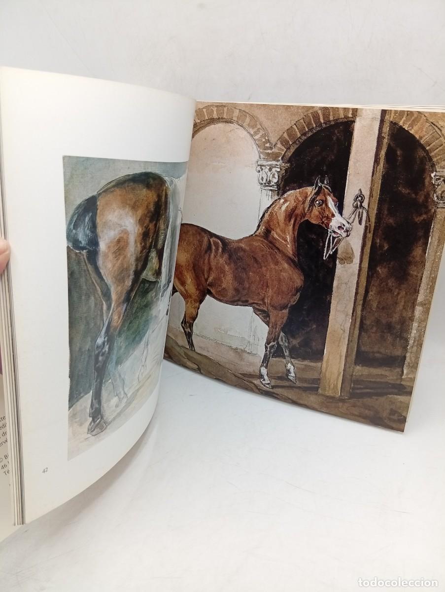 Libros de segunda mano: LES CHEVAUX DE GERICAULT. BRUNO CHENIQUE. 2002. PAGS : 95. - Foto 10