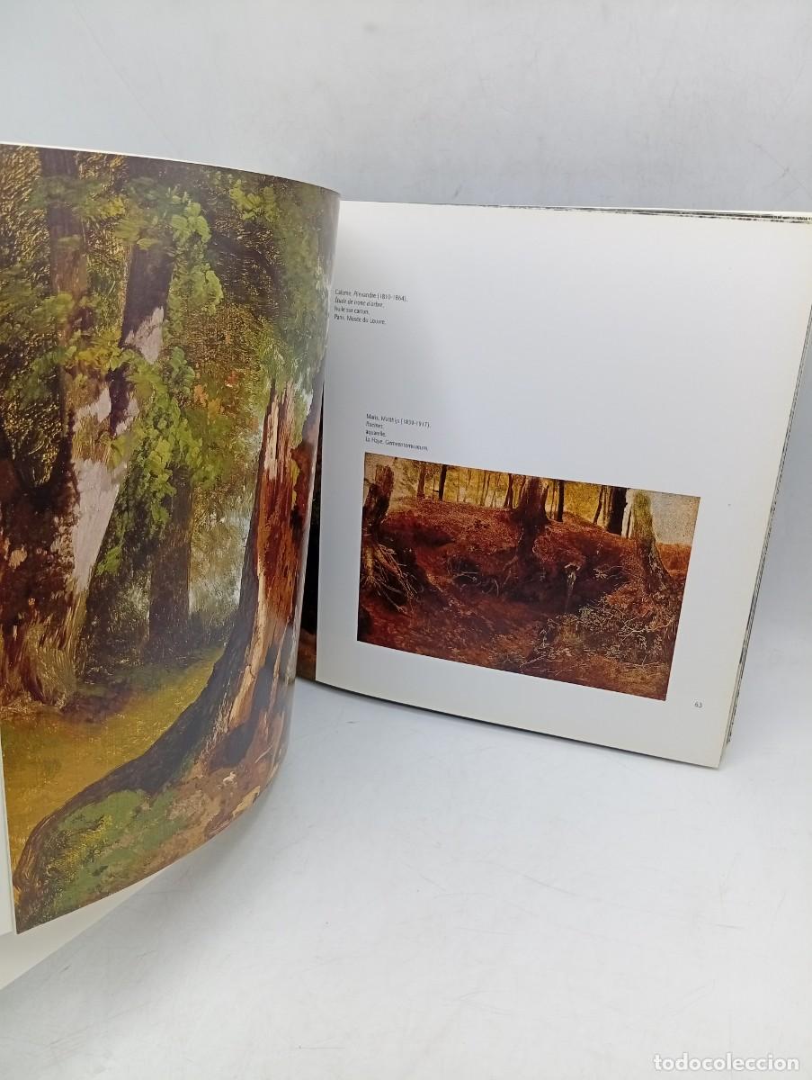 Libros de segunda mano: ARBRES. CARNET DE DESSINS. 2002. PAGS : 95. - Foto 8