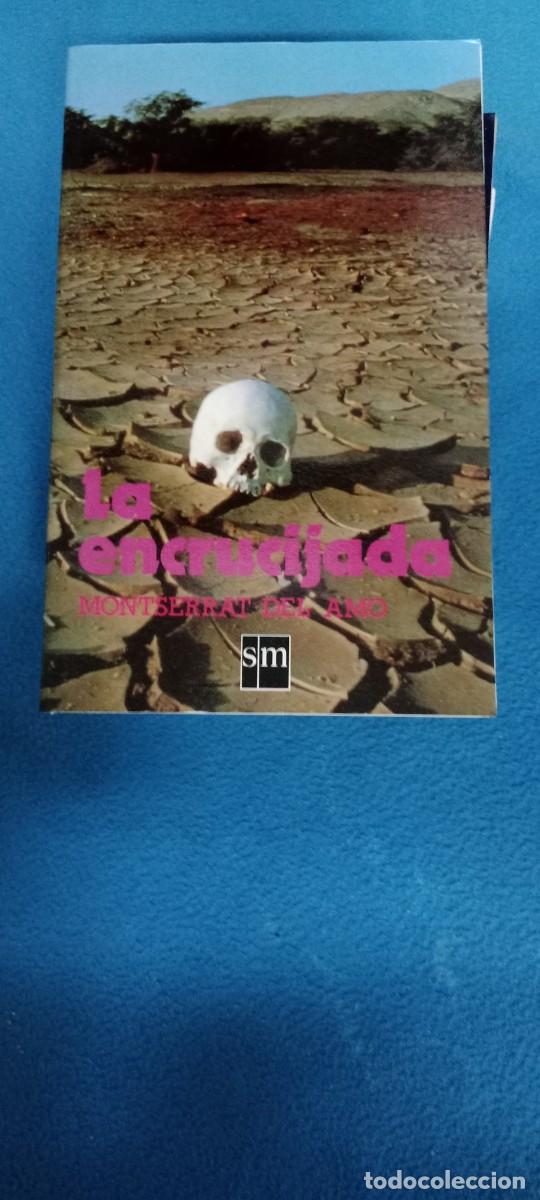 Libros de segunda mano: LA ENCRUCIJADA / MONTSERRAT DEL AMO LIBRO GG-IM - Foto 1