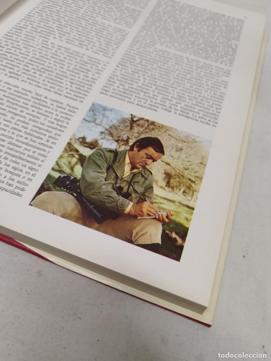 Libros de segunda mano: Antiguo gran libro, enciclopedia de la caza. - Foto 6