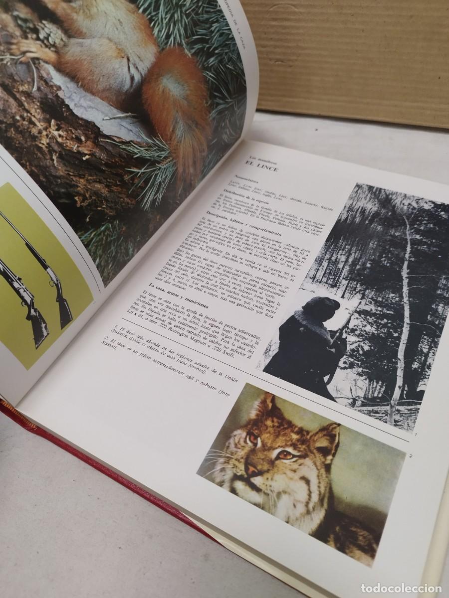 Libros de segunda mano: Antiguo gran libro, enciclopedia de la caza. - Foto 7