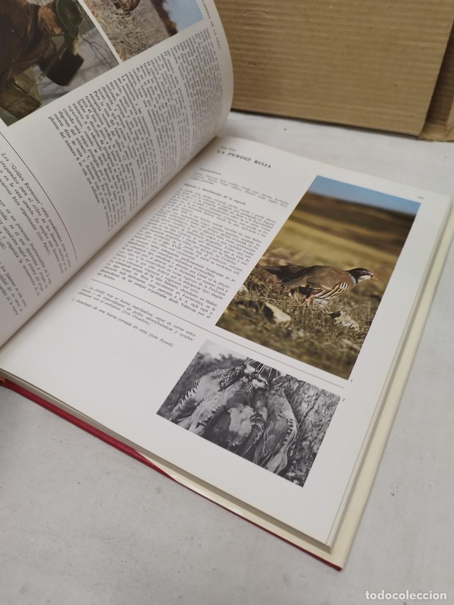 Libros de segunda mano: Antiguo gran libro, enciclopedia de la caza. - Foto 8