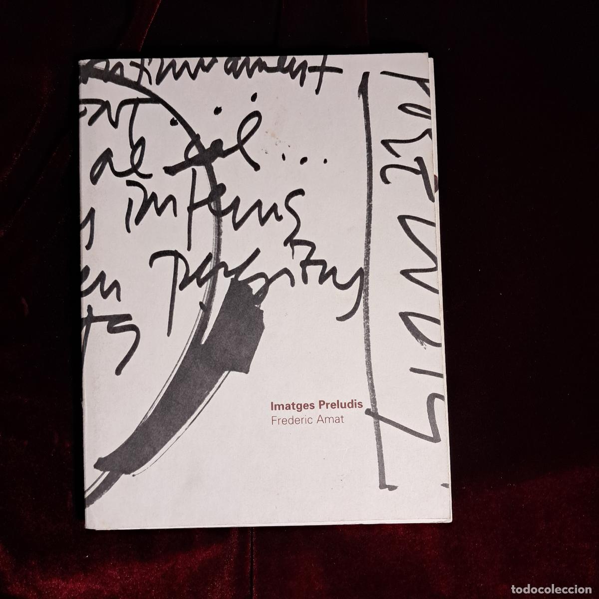 Libros de segunda mano: IMATGES PRELUDIS. Frederic Amat. Ajuntament de Girona 2003 - Foto 1