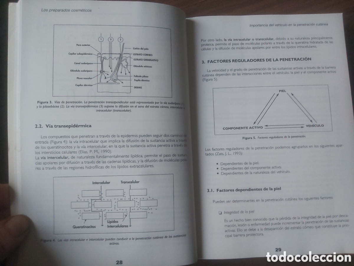 Libros de segunda mano: Manual de Cosmetologia. - Foto 7