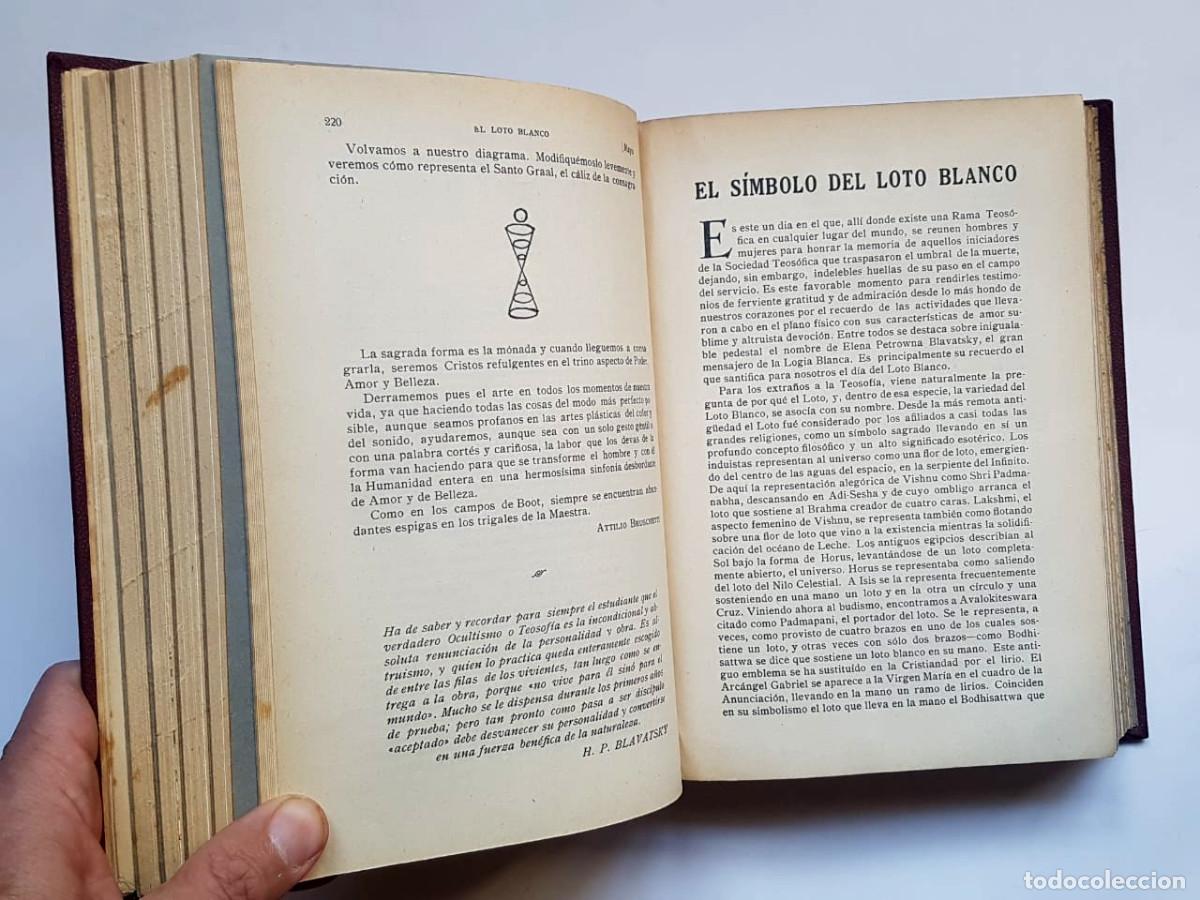 Libros de segunda mano: El Loto Blanco, 12 n&uacute;meros a&ntilde;o 1928 - Foto 11