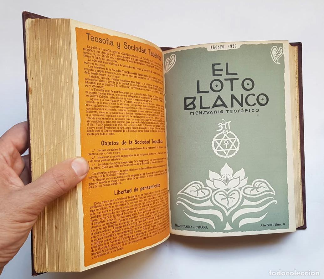 Libros de segunda mano: El Loto Blanco, 12 n&uacute;meros a&ntilde;o 1929 - Foto 17