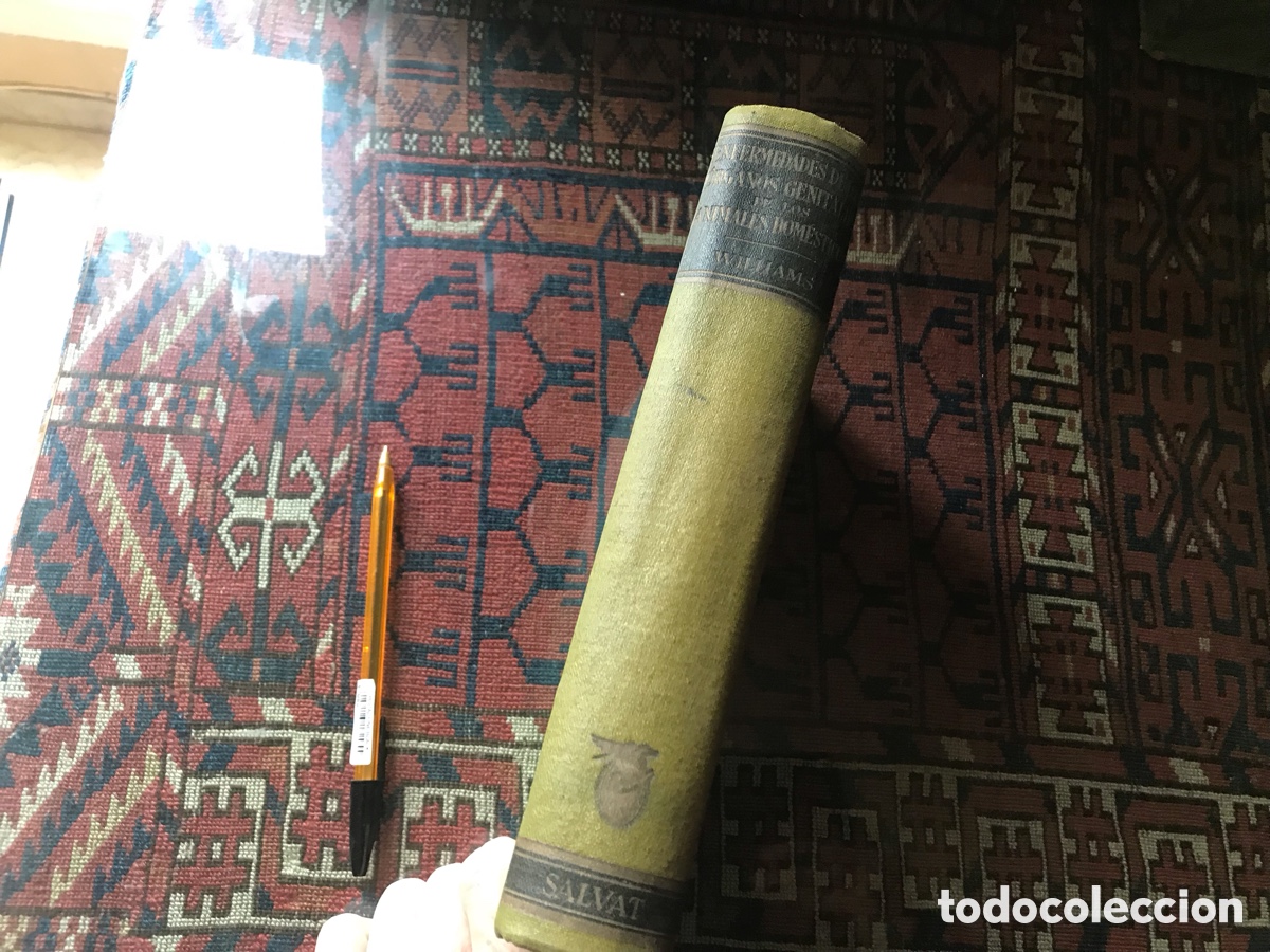 Gebrauchte B&uuml;cher: Enfermedades de los &oacute;rganos genitales de los animales dom&eacute;sticos. Williams. Salvat