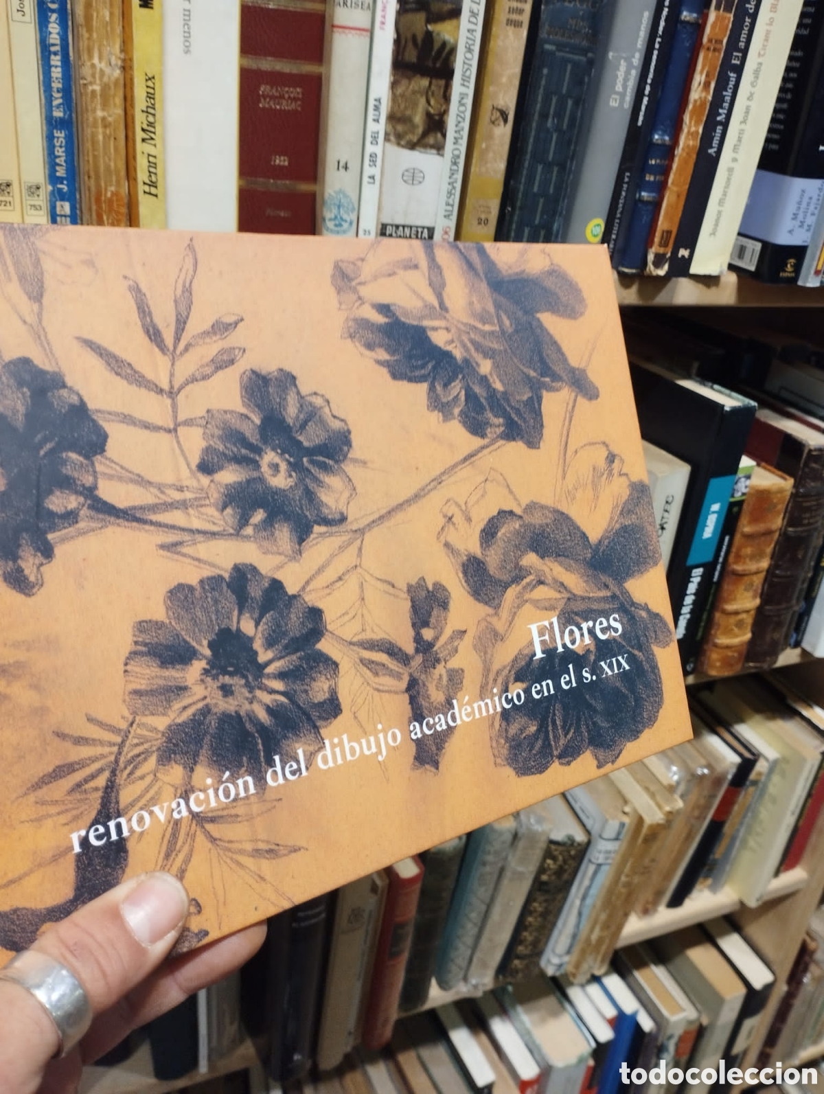 Gebrauchte B&uuml;cher: Flores. Renovaci&oacute;n del dibujo acad&eacute;mico en el s. XIX - Fernando de Ter&aacute;n Troyano