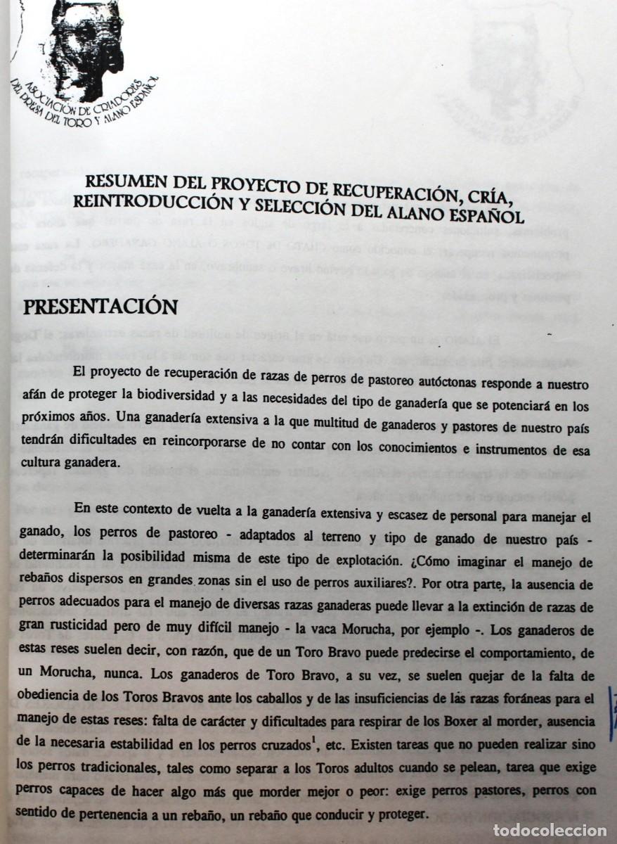 Libros de segunda mano: ALANO ESPA&Ntilde;OL. PROYECTO DE REINTRODUCCI&Oacute;N Y SELECCI&Oacute;N. 1998. Razas caninas aut&oacute;ctonas Perros Canina
