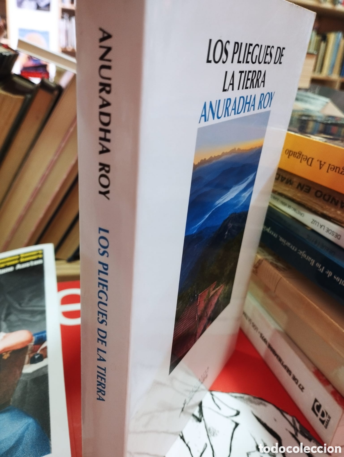 Libros de segunda mano: Los pliegues de la tierra - Anuradha Roy - Foto 1
