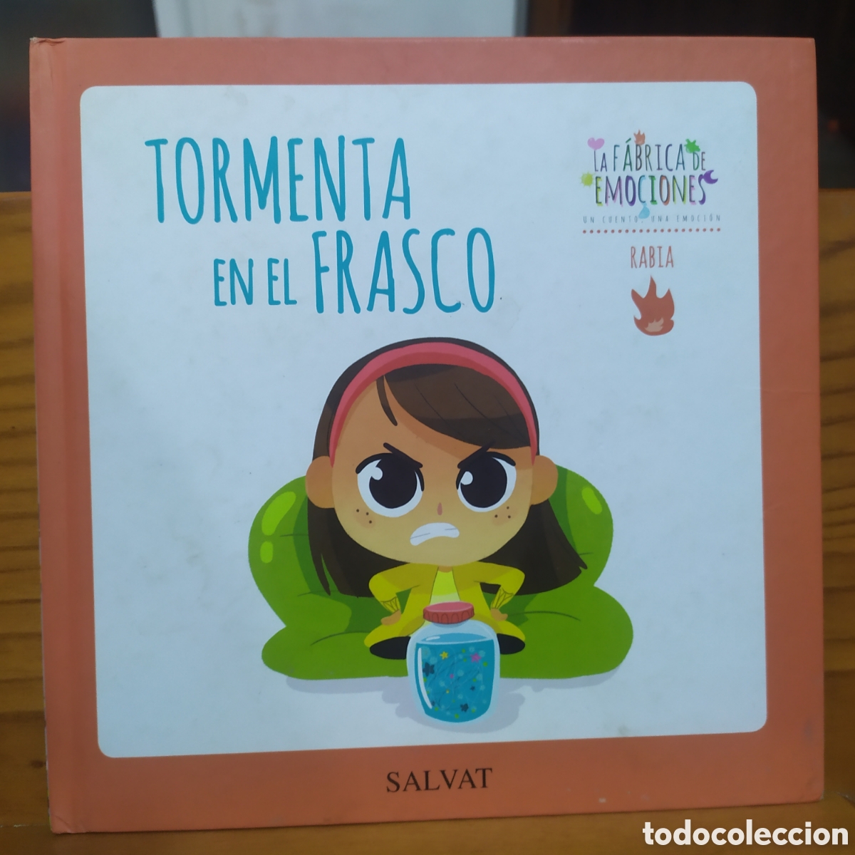 Libros de segunda mano: Tormenta en el frasco, Rabia - La f&aacute;brica de emociones Salvat