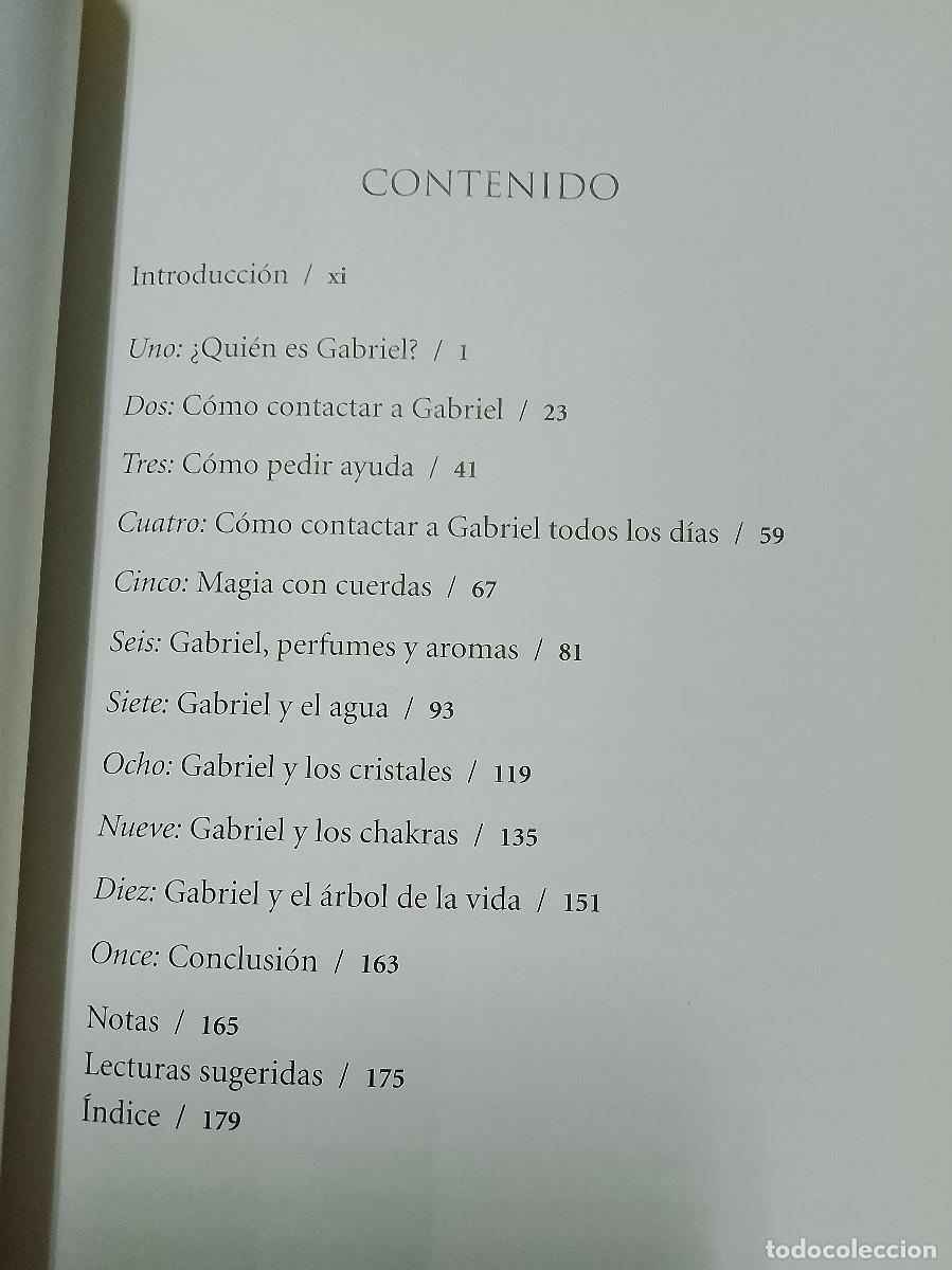 Libros de segunda mano: Richard Webster: Comunic&aacute;ndose con el arc&aacute;ngel Gabriel para la transformaci&oacute;n y la paz interior - Foto 3