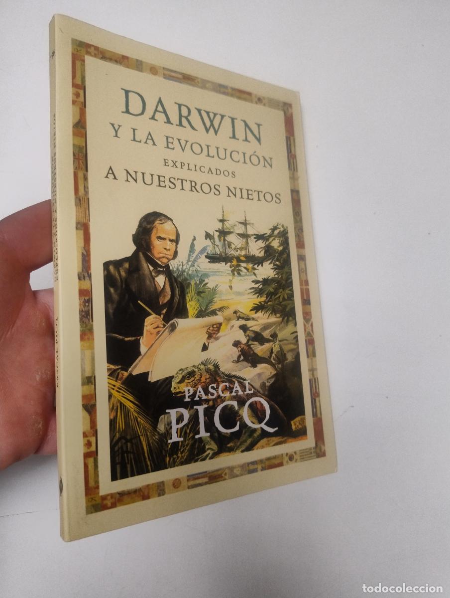 Libri di seconda mano: Darwin y la evoluci&oacute;n explicados a nuestros nietos - Picq, Pascal