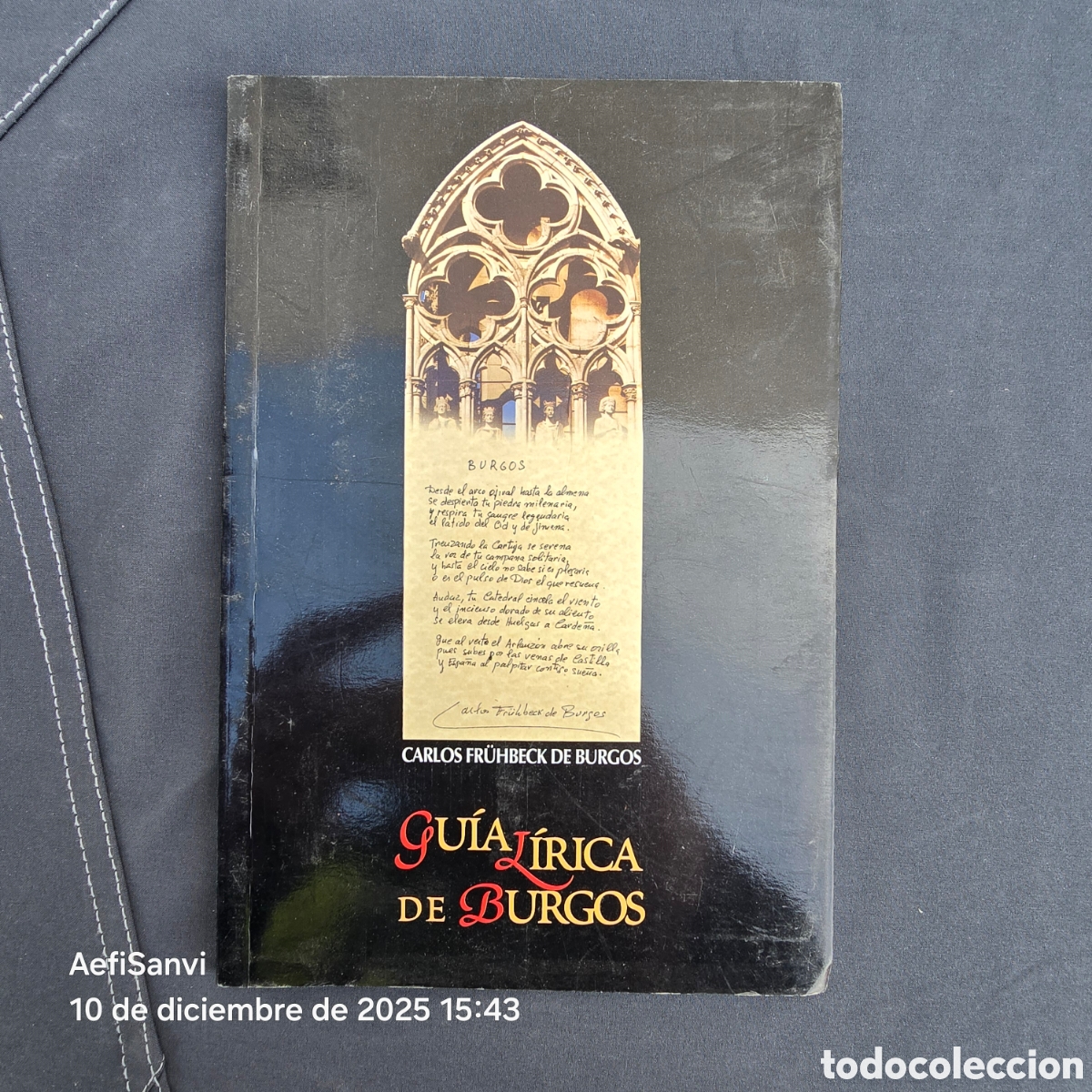 Libros de segunda mano: GU&Iacute;A LIRICA DE BURGOS (CARLOS FR&Uuml;HBECK DE BURGOS)