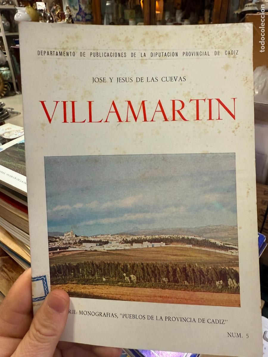Libros de segunda mano: LIBRO VILLAMARTIN - DEPARTAMENTO DE PUBLICACIONES DE LA DIPUTACION DE CADIZ - A&Ntilde;O 1962 - 51 PAG