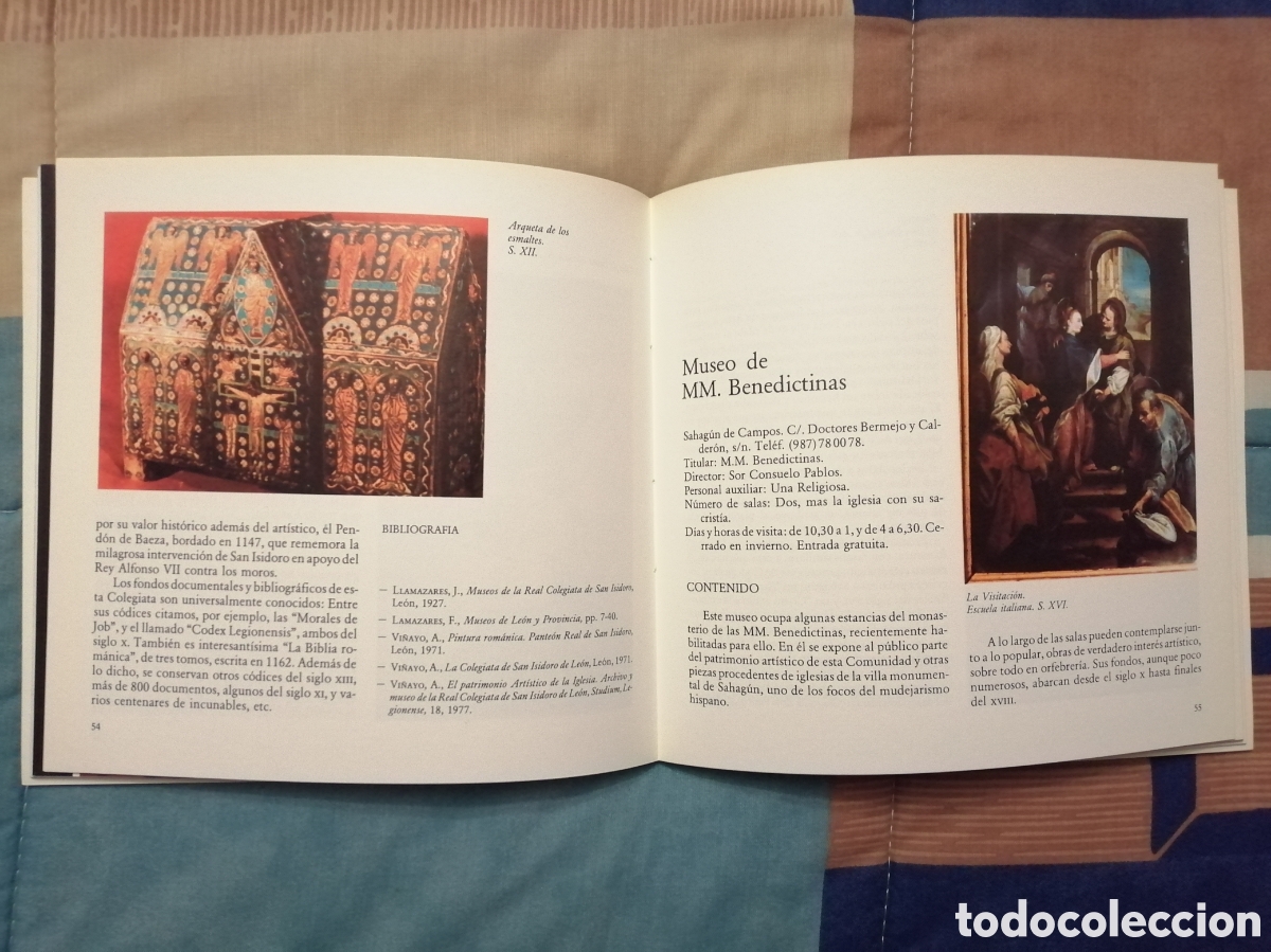 Libros de segunda mano: Bd. Museos Eclesi&aacute;sticos de Castilla y Le&oacute;n (M&aacute;ximo G&oacute;mez Rasc&oacute;n) - Foto 3