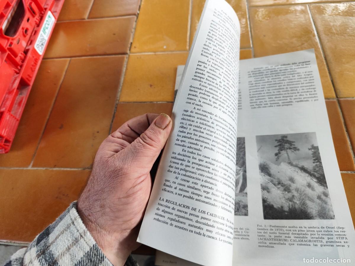 Libros de segunda mano: JACETANIA AGOSTO 1978 / / CJA 389 - Foto 5