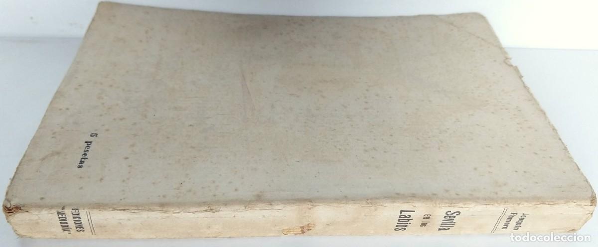 Libros de segunda mano: SEVILLA en los LABIOS &ndash; Joaqu&iacute;n Romero &ndash; Sevilla 1938 - Foto 3