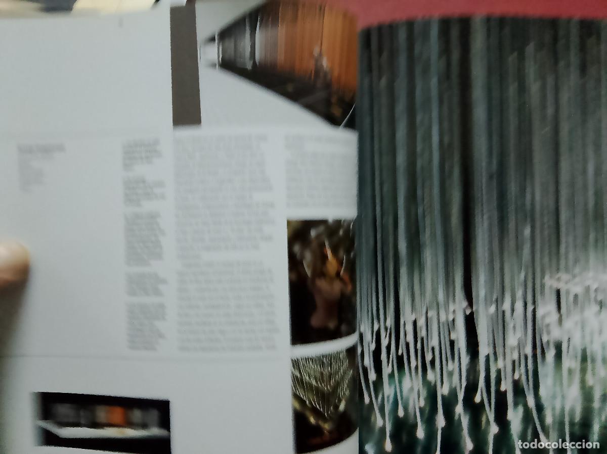 Libros de segunda mano: David Dernie: Espacios de exposici&oacute;n (Blume. 2006) - Foto 6