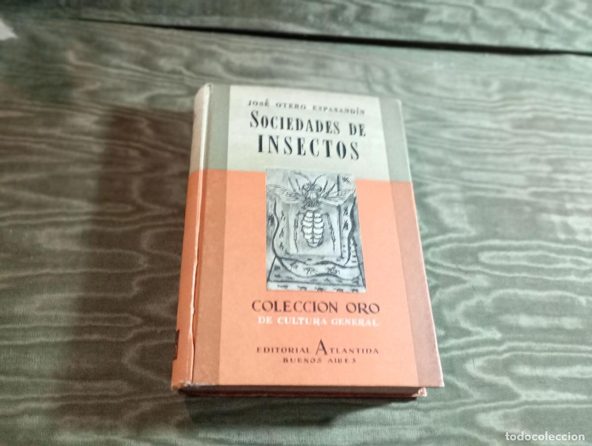 Libros de segunda mano: libro de los insectos vintage - Foto 1