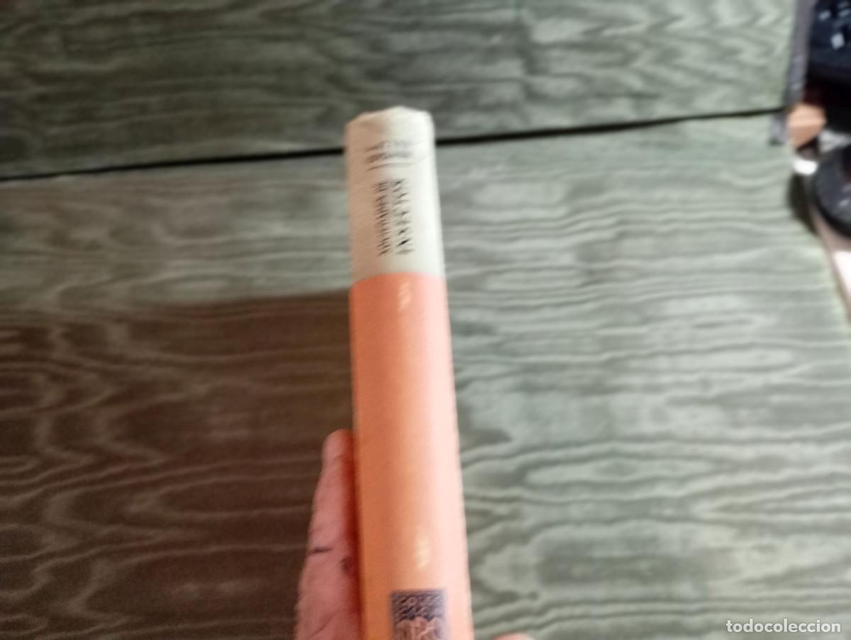 Libros de segunda mano: libro de los insectos vintage - Foto 2