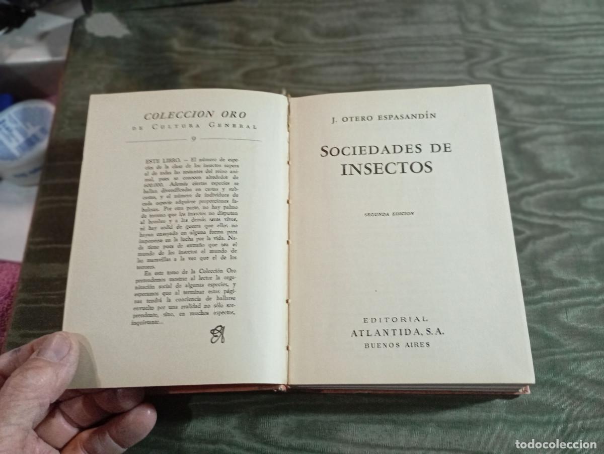 Libros de segunda mano: libro de los insectos vintage - Foto 3