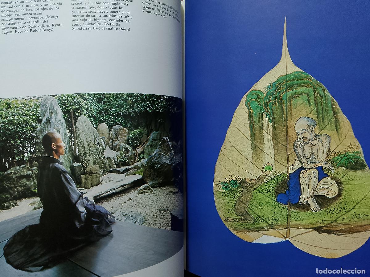 Libros de segunda mano: Anne Bancroft: Zen (Editorial Debate. 1994) - Foto 5