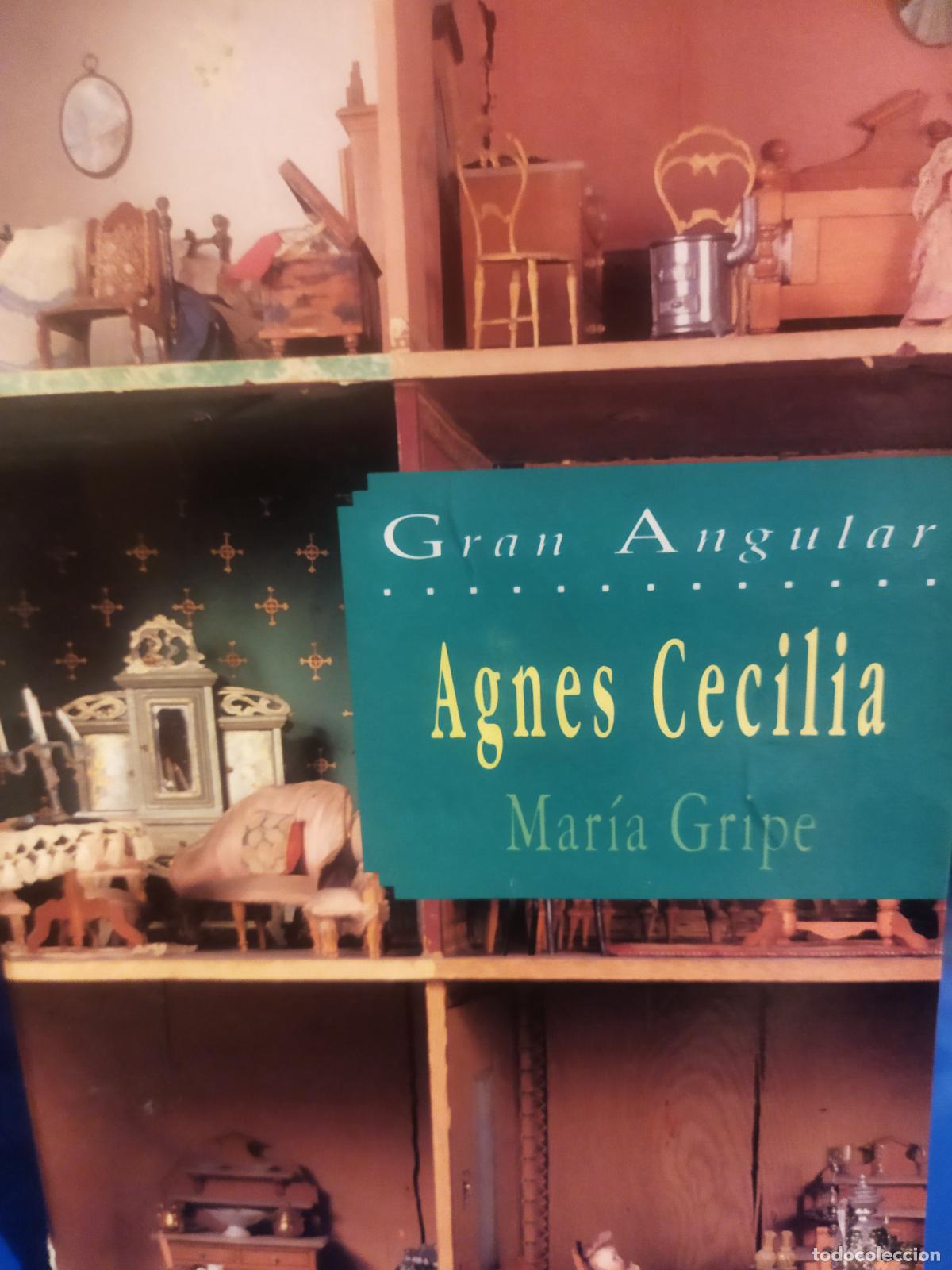 Libros de segunda mano: Agnes Cecilia Maria gripe gran angular - Foto 1