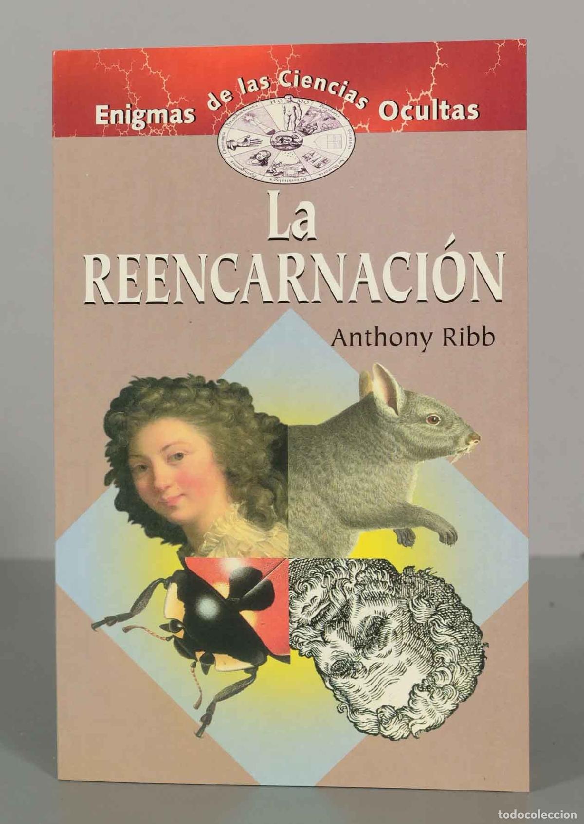 Libros de segunda mano: La reencarnaci&oacute;n Anthony Ribb - Foto 1