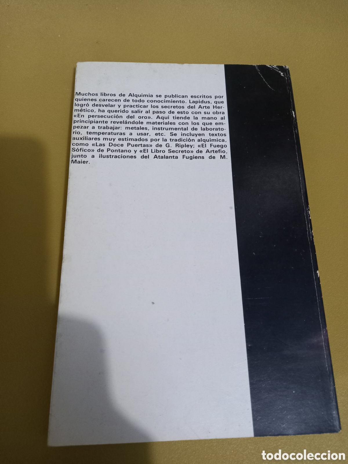 Libros de segunda mano: Lapidus: En persecuci&oacute;n del oro. Luis C&aacute;rcamo editor - Foto 3