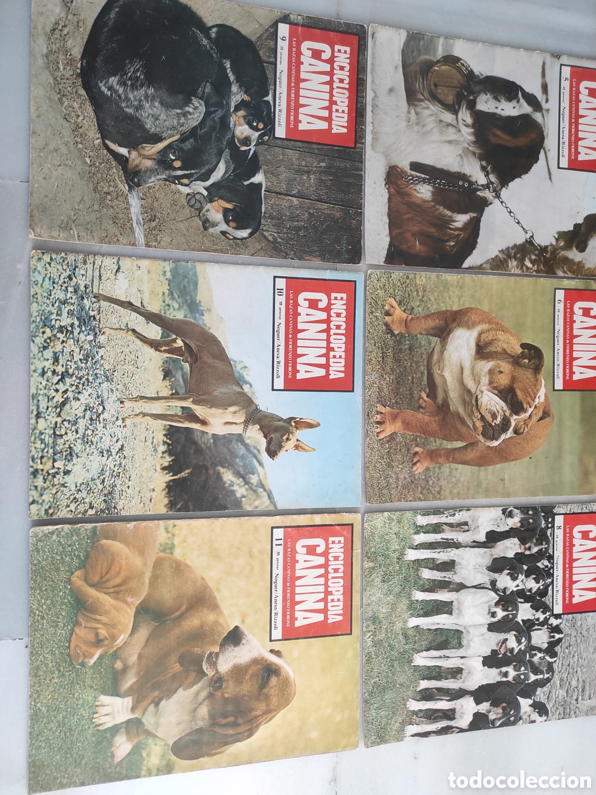 Libros de segunda mano: Enciclopedia Canina. 9 tomos. - Foto 3