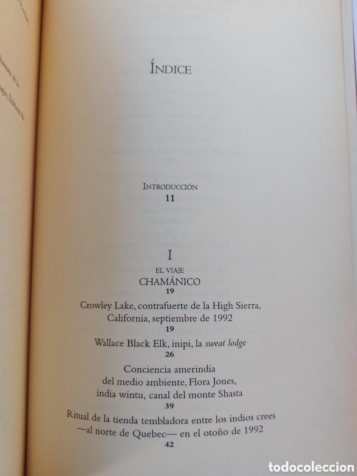 Libros de segunda mano: El cham&aacute;n, el f&iacute;sico y el m&iacute;stico - Foto 2