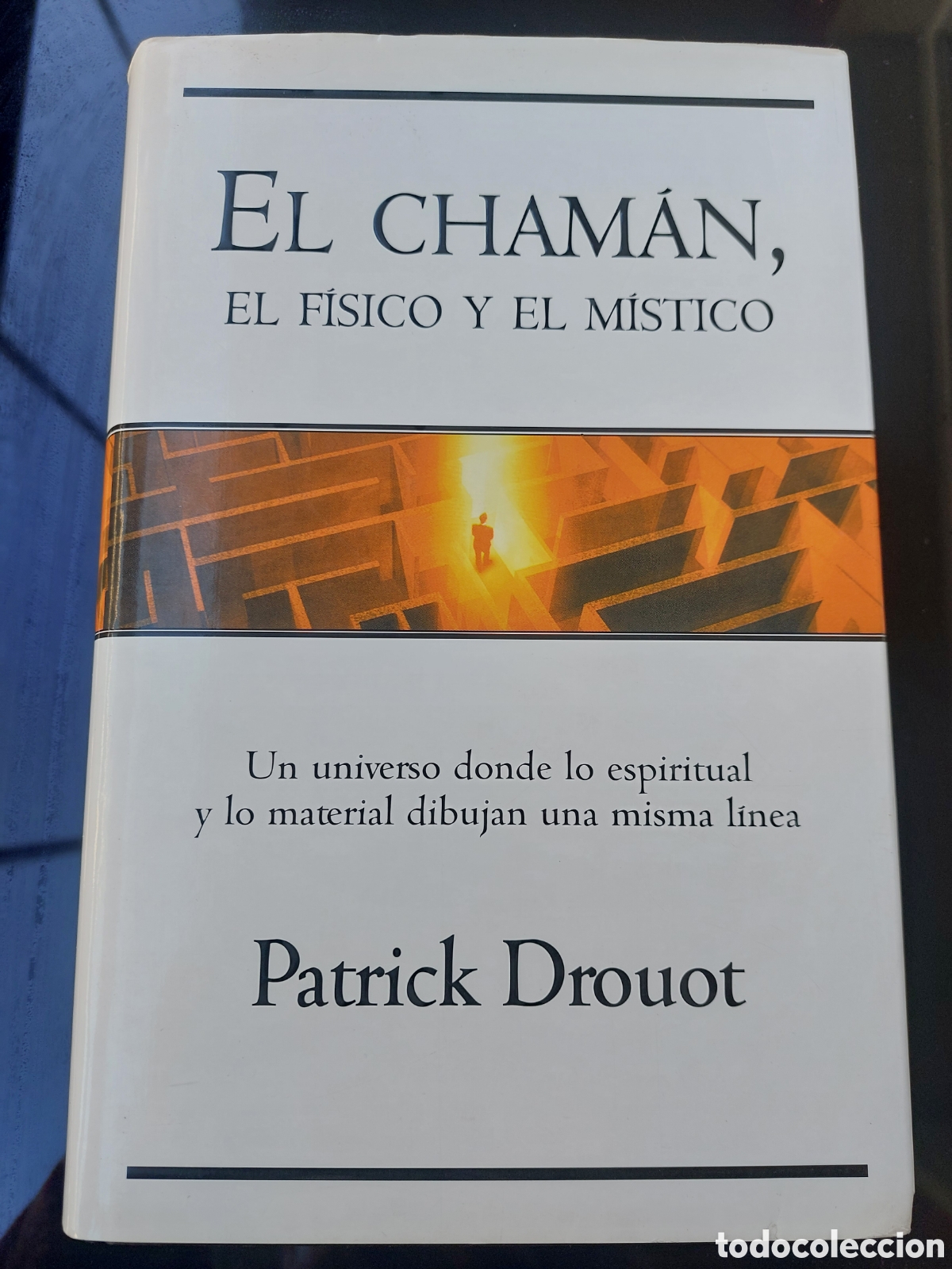 Libros de segunda mano: El cham&aacute;n, el f&iacute;sico y el m&iacute;stico - Foto 1