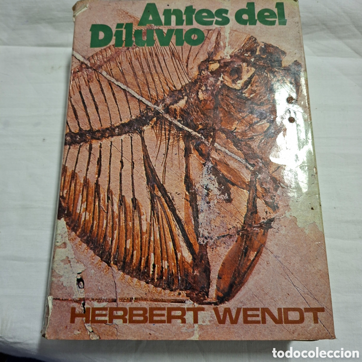 Libros de segunda mano: ANTES DEL DILUVIO HERBERT WENDT EDITORIAL NOGUER S.A - Foto 2