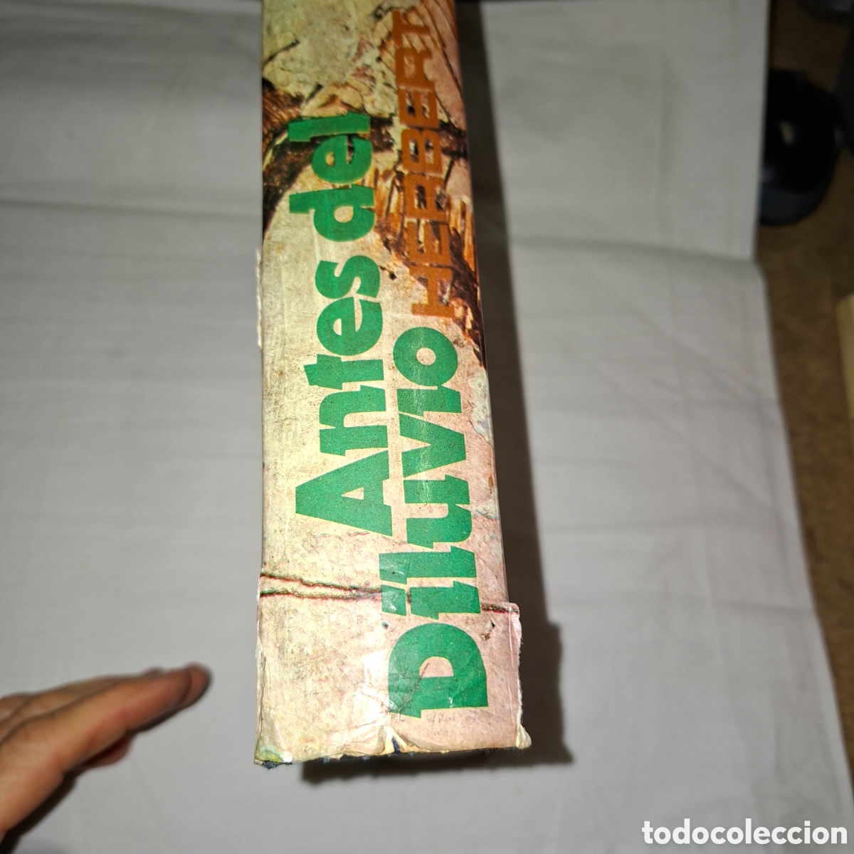 Libros de segunda mano: ANTES DEL DILUVIO HERBERT WENDT EDITORIAL NOGUER S.A - Foto 6