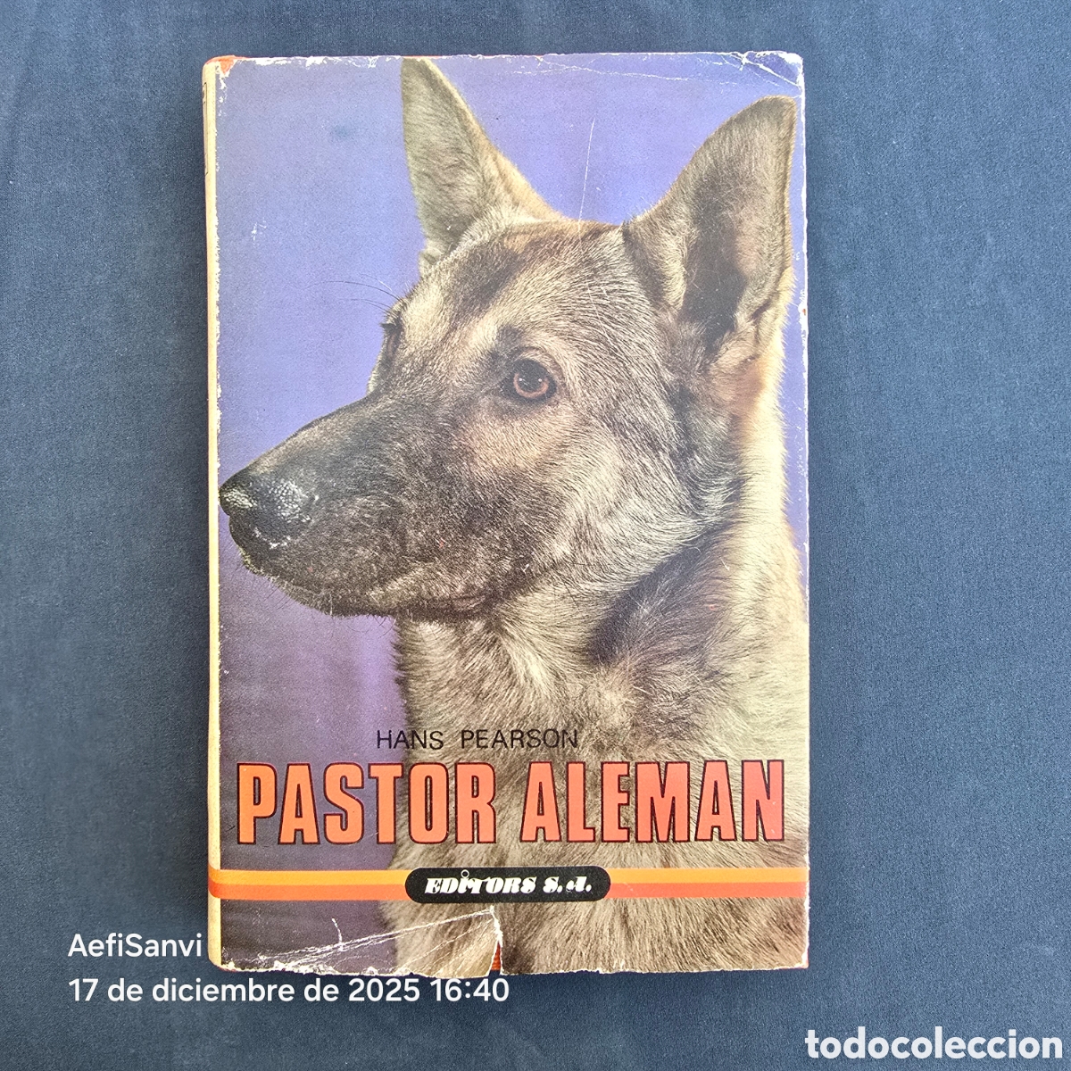 Gebrauchte B&uuml;cher: PASTOR ALEM&Aacute;N (HANS PEARSON) (EDITORS S.A.)