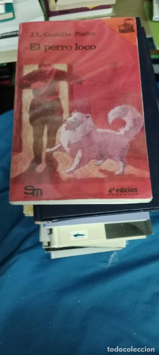 Libros de segunda mano: El perro loco: Castillo-Puche, LIBRO S-06 - Foto 1